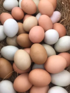 A pile of eggs in various shades of brown, white, and light blue resting on dry straw.