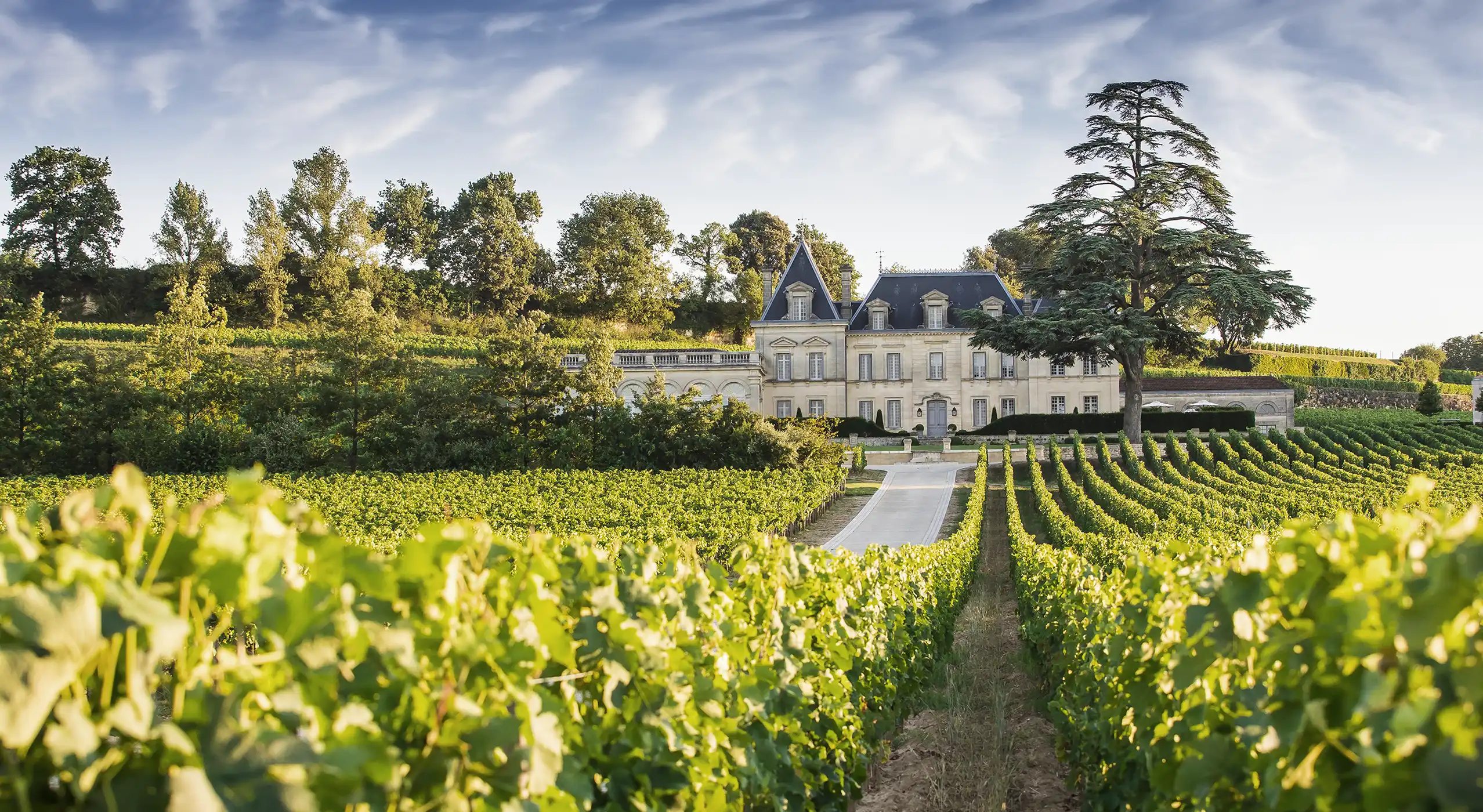 Chateau Fonplegade stands behind rows of green grapevines, surrounded by trees and a clear sky, in a vineyard landscape.