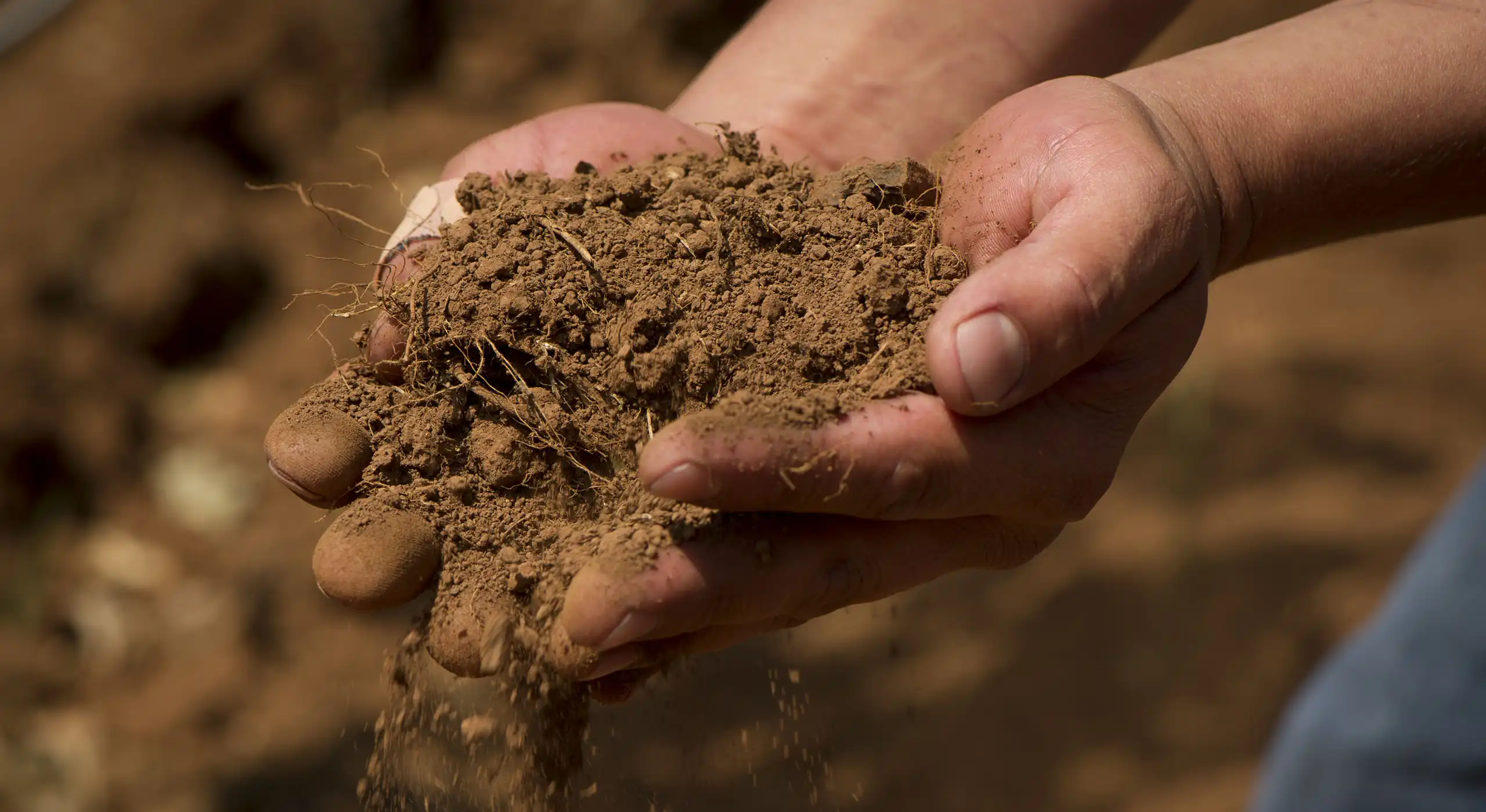 A person holds a handful of dry, loose soil, with some dirt spilling between their fingers.