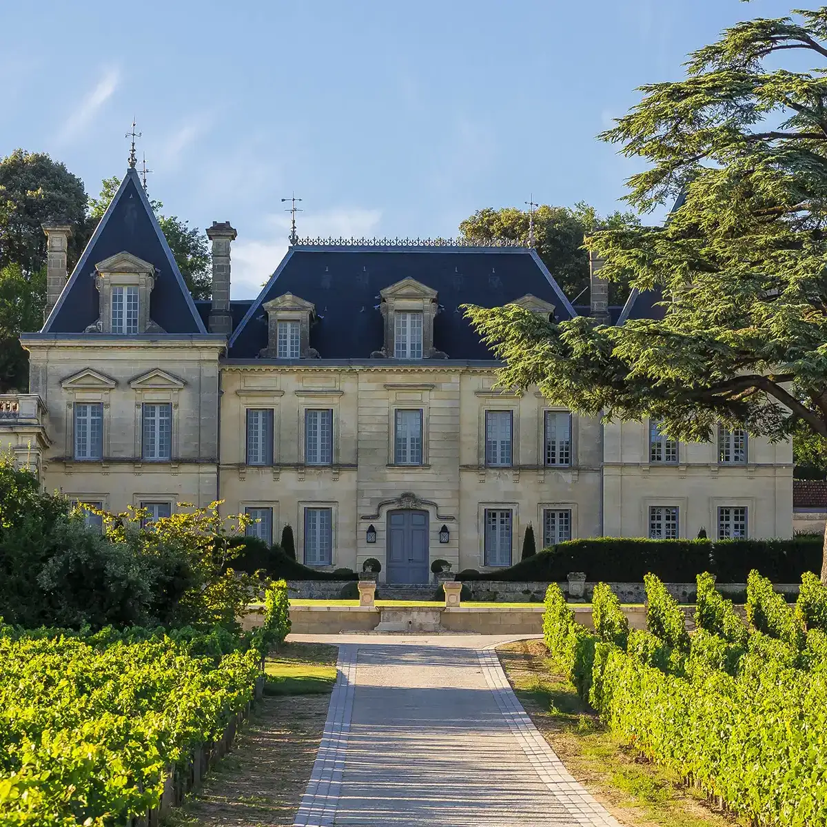 Chateau Fonplegade with dark blue roofs stands behind a walkway and rows of grapevines under a clear sky.