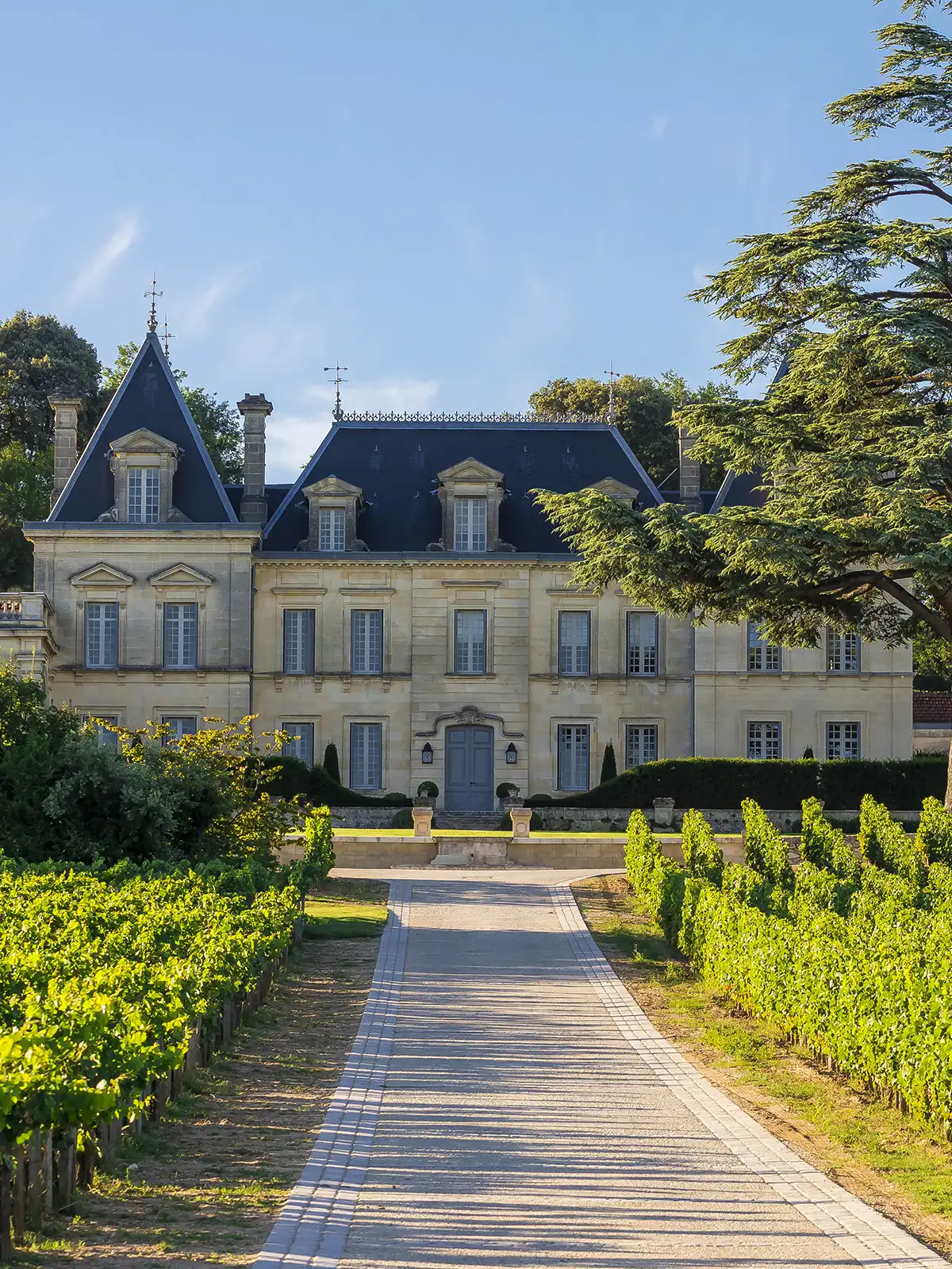 Château Fonplégade with mansard roof and blue shutters, surrounded by vineyards and trees, under a clear blue sky.
