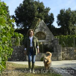 A woman walking a golden retriever through a vineyard near a stone structure.